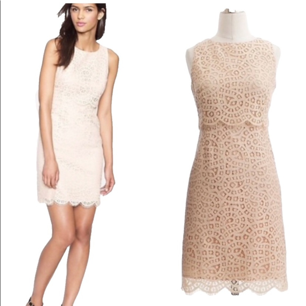 Beautiful J. Crew Lace Dress